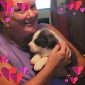 Meet your Posher, Pamela